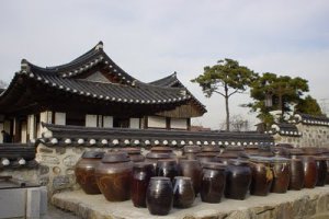Kimchi