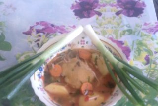 Ciorbita de gaina de tara