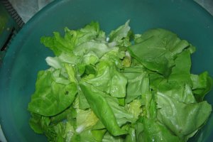 Salata Caesar