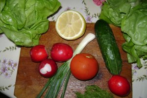 Salata de primavara din epoca de piatra