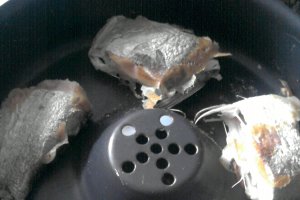 Peste la dry cooker