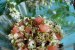 Salata din flori de salcam-0