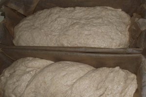 Paine neagra de casa