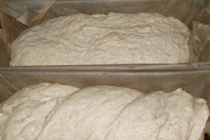 Paine neagra de casa