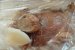 Friptura de iepure la cuptor cu cartofi-3