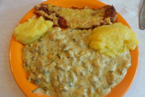 Tocanita de ciuperci champignon