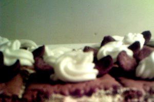 Tort de biscuiti cu inghetata