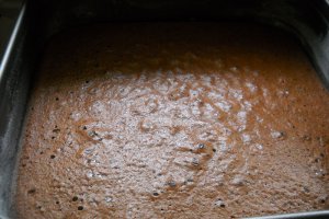 Prajitura cu ciocolata,cafea si piscoturi