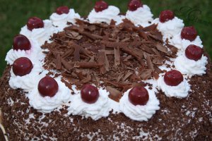Tort Padurea Neagra