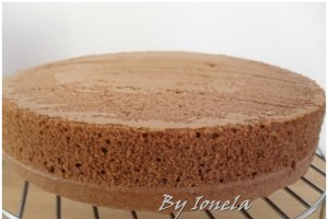 Tort ciocolatos