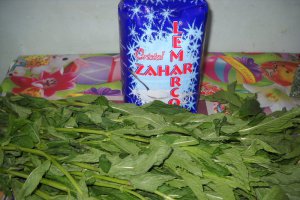 Sirop de menta