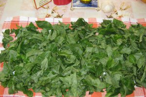 "Mlukhieh"-Supa de iuta cu pui-specific tarilor arabe
