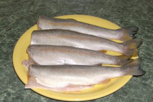 Pastrav pane