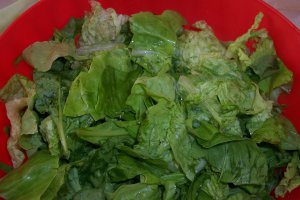 Salata verde