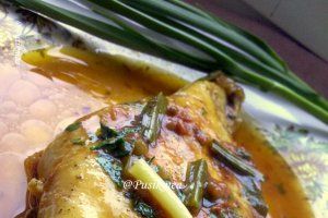 Piept de pui in sos de rosii si usturoi verde