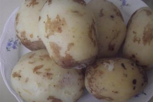Budinca de cartofi noi