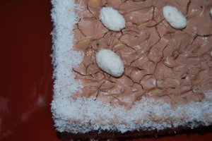 Tort cu cocos si ciocolata