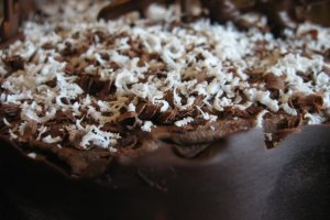 Tort Tamisa