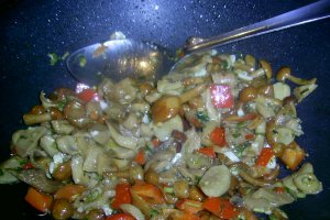 Muschiulet pe pat de ciuperci