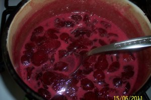 Tort Larissa