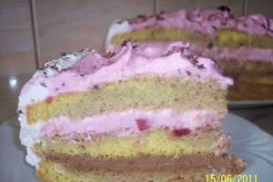 Tort Larissa