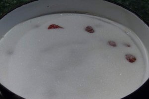 Dulceata de capsuni reteta
