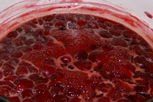 Dulceata de capsuni reteta