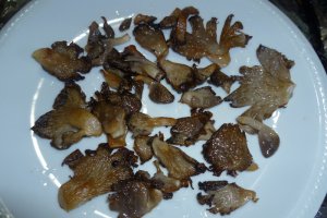 Pleurotus cu branza si smantana
