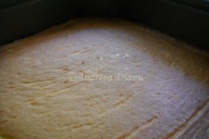 Prajitura cu crema de capsuni si iaurt