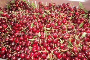Gem sau dulceata de cirese