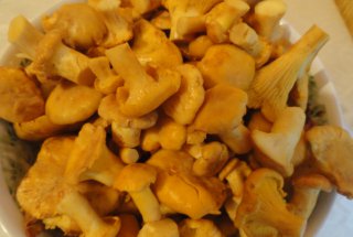 Tocanita de galbiori