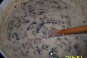 Tocanita de ciuperci champignon