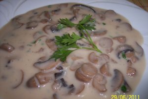 Tocanita de ciuperci champignon