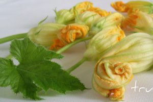 Flori de dovlecei in aluat dulce