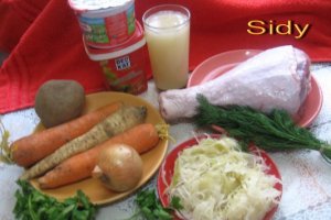 Ciorba de potroace ( cu carne de curcan)