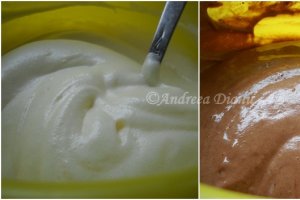 Tort de inghetata in doua culori/Zebra Ice Cream