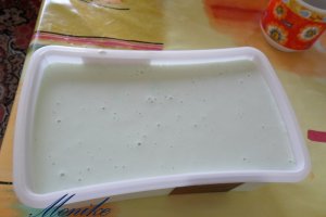 Deliciu cu ceai verde si piersici caramel