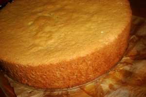Tortul bunicii