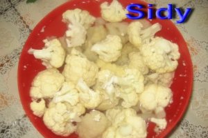 Gulas de conopida