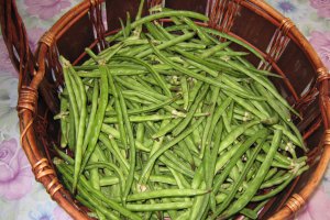 Mancare scazuta  de” lubiya”(“ black eyed pea”,”black eyed bean”,lobia)