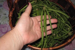 Mancare scazuta  de” lubiya”(“ black eyed pea”,”black eyed bean”,lobia)