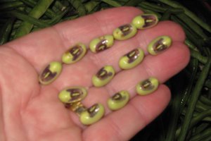 Mancare scazuta  de” lubiya”(“ black eyed pea”,”black eyed bean”,lobia)
