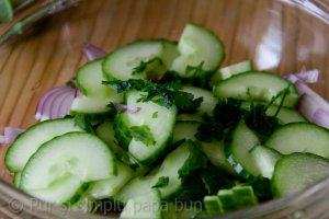 Frigarui de pui cu salata de castraveti si ceapa rosie