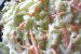 Salata Coleslaw-1