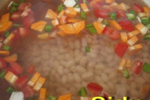 Ciorbita de vara de fasole uscata