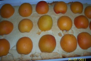 Prajitura cu branza si caise