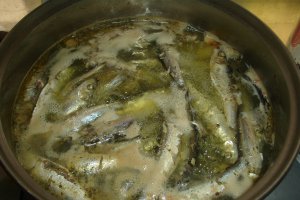 Bors de peste (somon)