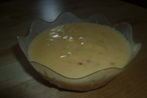 Crema de iaurt cu nectarine