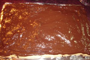 Prajitura  cu biscuiti cu adaos de piscoturi