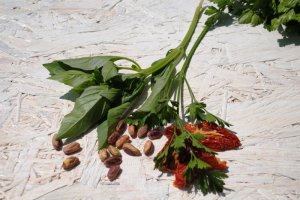 Pesto cu rosii uscate la soare si fistic